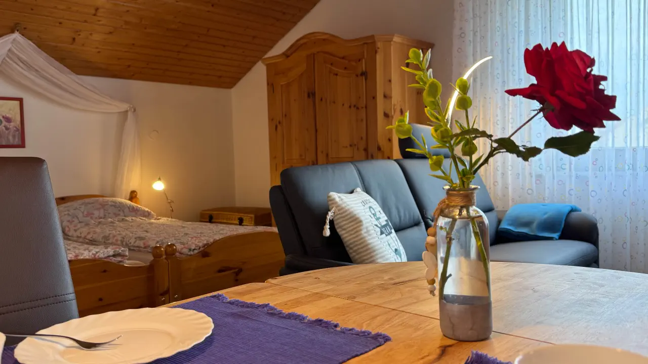 Blick in den Wohn- und Schafbereich